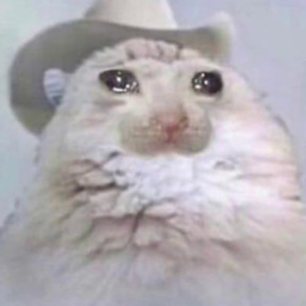 Meet your Posher, Connor